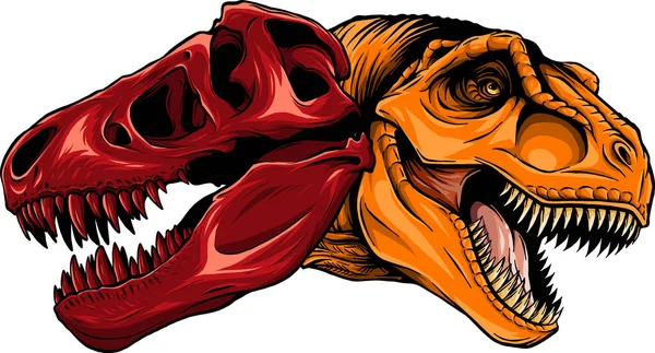 Tengkorak Dinosaurus Tyrannosaurus Rex Ilustrasi Vektor - Stok Vektor