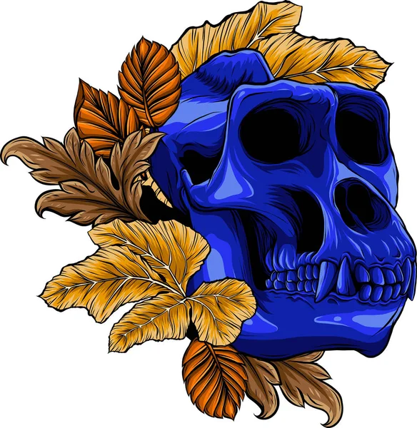 Dibujo Color Del Vector Cráneo Mono — Vector de stock