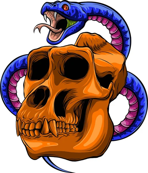 Disegno Colorato Del Vettore Cranio Scimmia — Vettoriale Stock