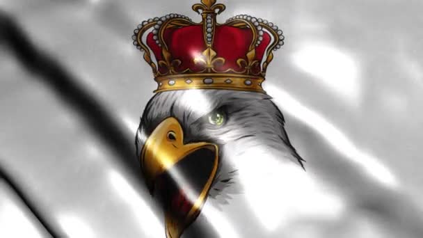 Flag Eagle Head Crown Digital Video — Stock Video