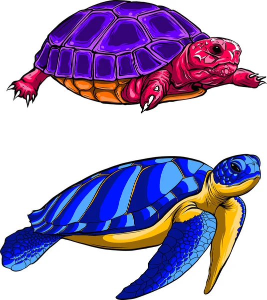 Gestaltung Des Schildkrötensets Vektorstil — Stockvektor
