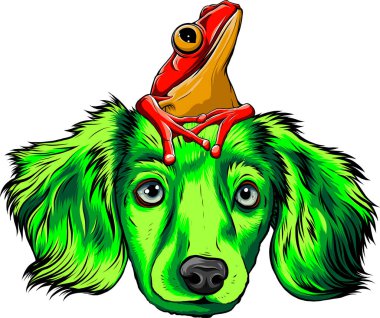 köpek ve kurbağa çizgi film vektörü