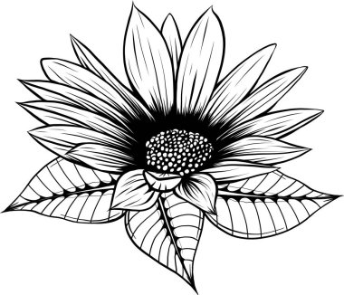 Mürekkep, kalem, elma yaprakları ve çiçekleri izole edilmiş. Çizgi sanatı şeffaf arka plan. Elle çizilmiş doğa resmi. Serbest çizim illüstrasyonu.