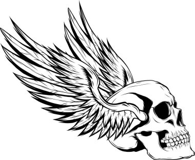 siyah-beyaz insan kafatası