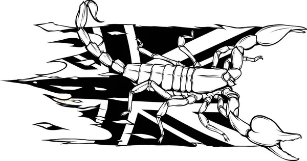 Skorpiony Czarno Białych Ilustracjach — Wektor stockowy