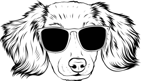頭犬のベクトル図 — ストックベクタ
