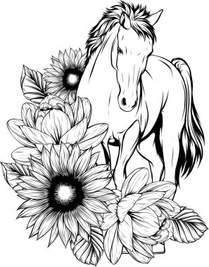 Tasarım aşamasındaki atın çizimi