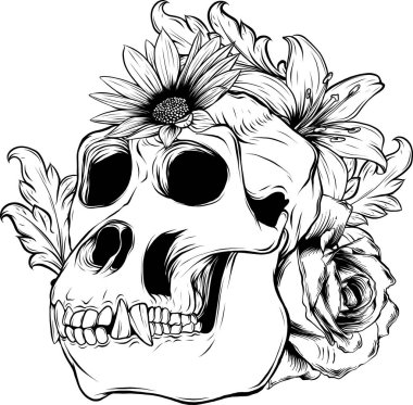 Siyah beyaz çizgili maymun kafatası