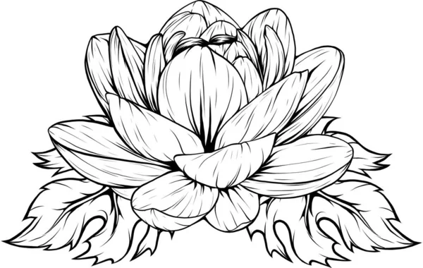 Иллюстрация Контура Цветка Лотоса — стоковый вектор
