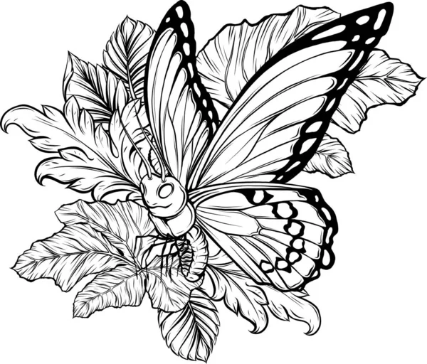 Esquema Dibujo Mariposa Ilustración Vectorial Línea Negra Alas Con Patrón — Archivo Imágenes Vectoriales