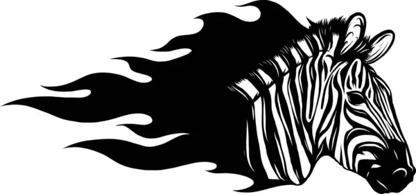 Zebra Zvířecí Ilustrace Vektor Černá Bílá — Stockový vektor