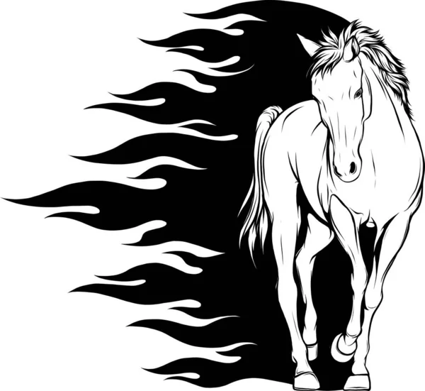 Ilustração Cavalo Desenho Contorno — Vetor de Stock