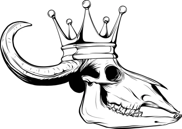 Bull Crâne Vecteur Art Contour Illustration — Image vectorielle