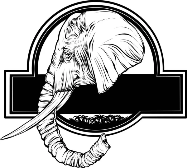 Blacka Cabeza Elefante Blanco — Vector de stock
