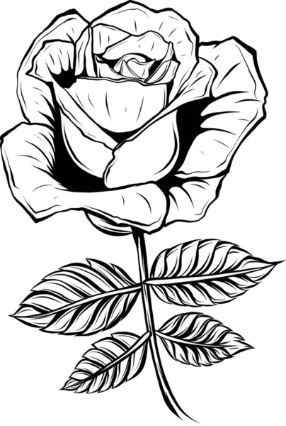 Silhouette Der Schwarze Und Weiße Rose — Stockvektor