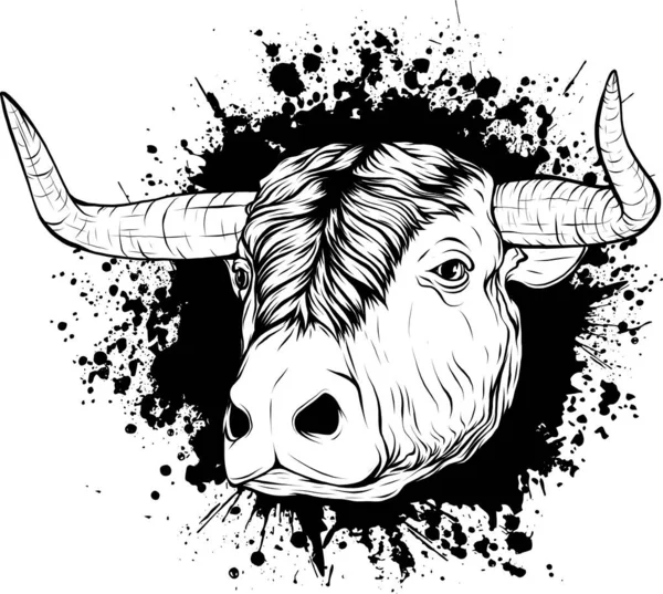 Bianco Nero Della Testa Vacca — Vettoriale Stock