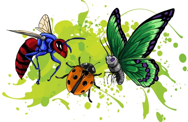 Insektenillustration Zeichnung Gravieren Von Tuschestrichzeichnungen — Stockvektor