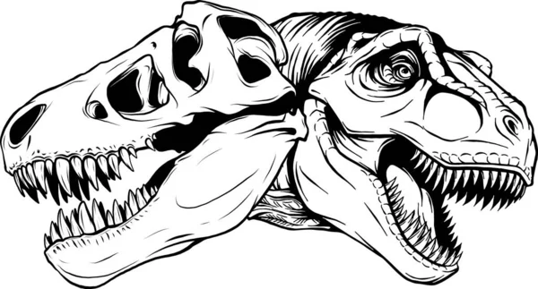 Tête Dinosaure Contour Noir Blanc — Image vectorielle