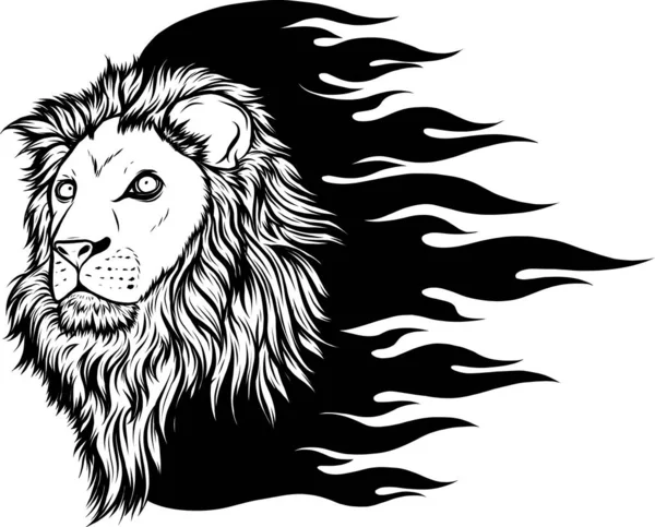 Vetor Ilustração Contorno Cabeça Leão — Vetor de Stock