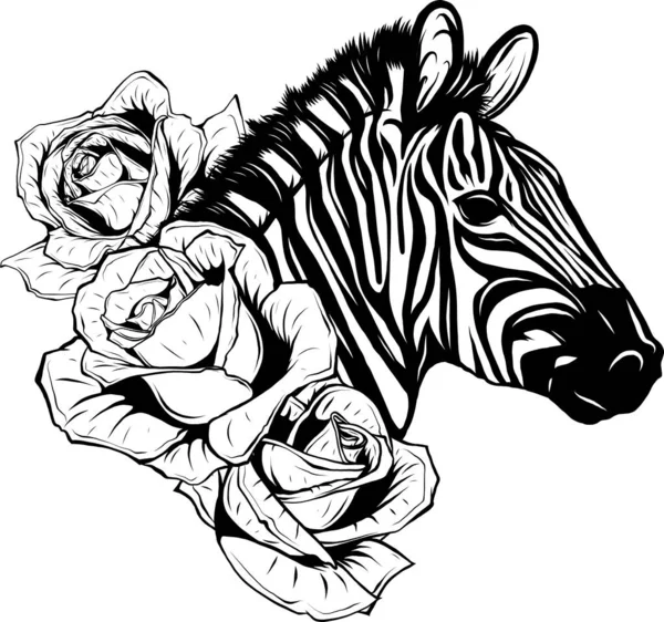 Ilustração Animal Zebra Vetor Preto Branco — Vetor de Stock