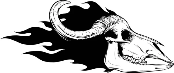 雄牛の頭蓋骨ベクトルアートアウトライン図 — ストックベクタ