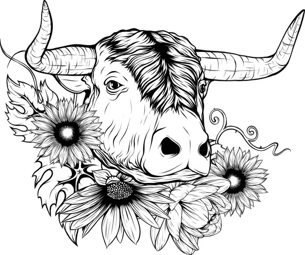 Noir Blanc Tête Vache — Image vectorielle