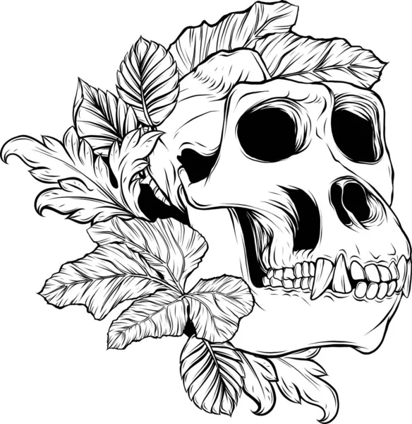 Cráneo Mono Contorno Blanco Negro — Archivo Imágenes Vectoriales