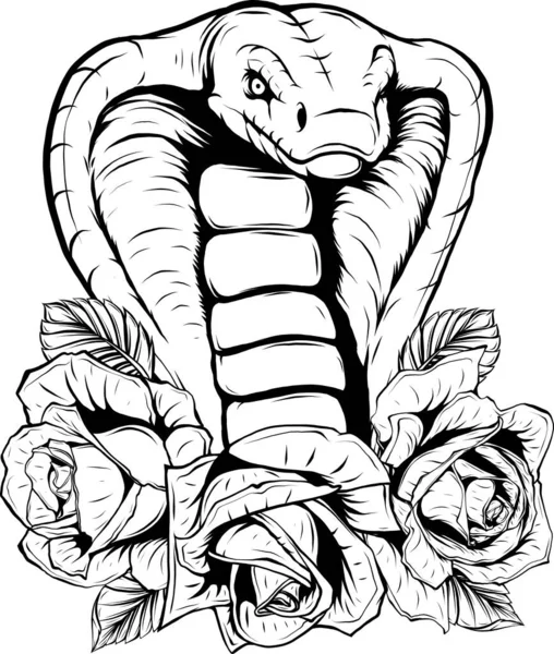 Illustration Des Cobra Kopfes Umrissen — Stockvektor