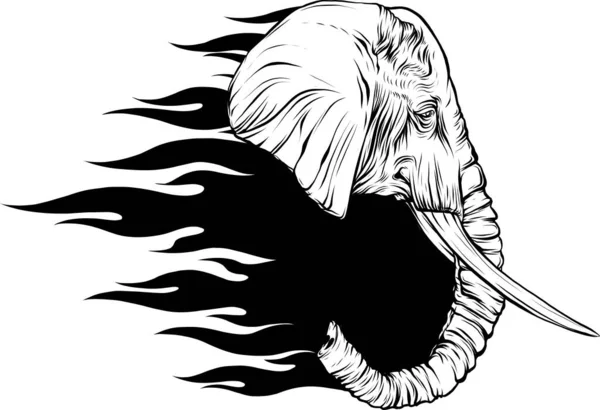 Blacka Branco Cabeça Elefante — Vetor de Stock