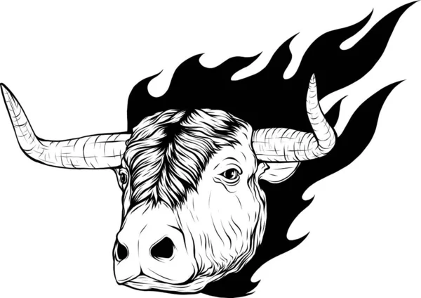 Blanco Negro Cabeza Vaca — Vector de stock