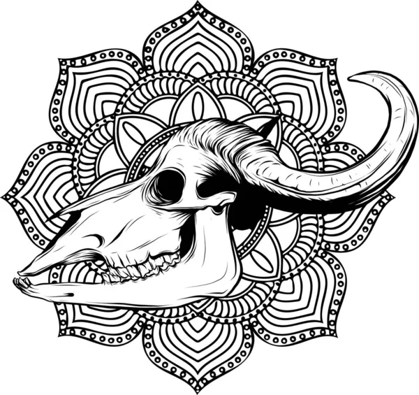 Toro Cranio Vettore Arte Contorno Illustrazione — Vettoriale Stock