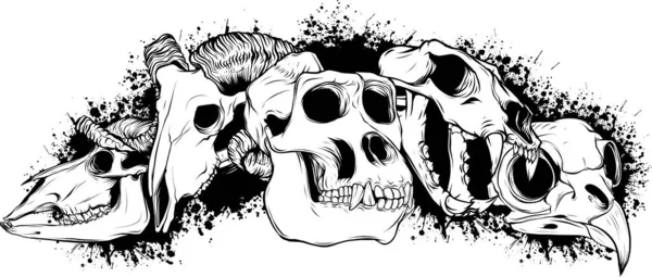 動物の頭蓋骨群ベクトル図 — ストックベクタ
