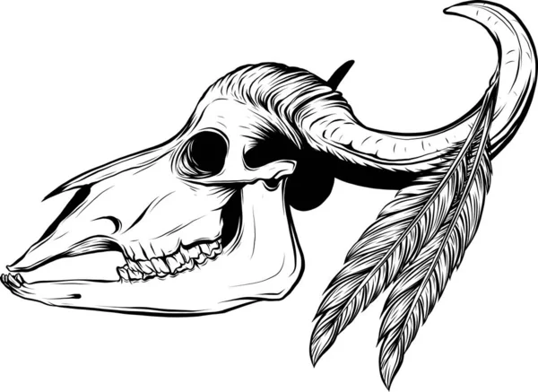 Bull Crâne Vecteur Art Contour Illustration — Image vectorielle
