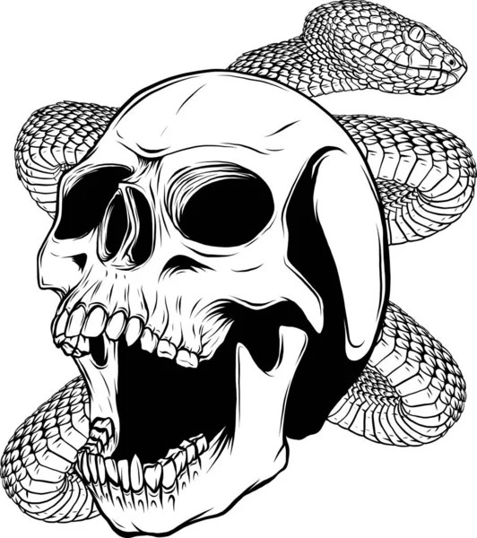 Contour Crâne Vectoriel Noir — Image vectorielle