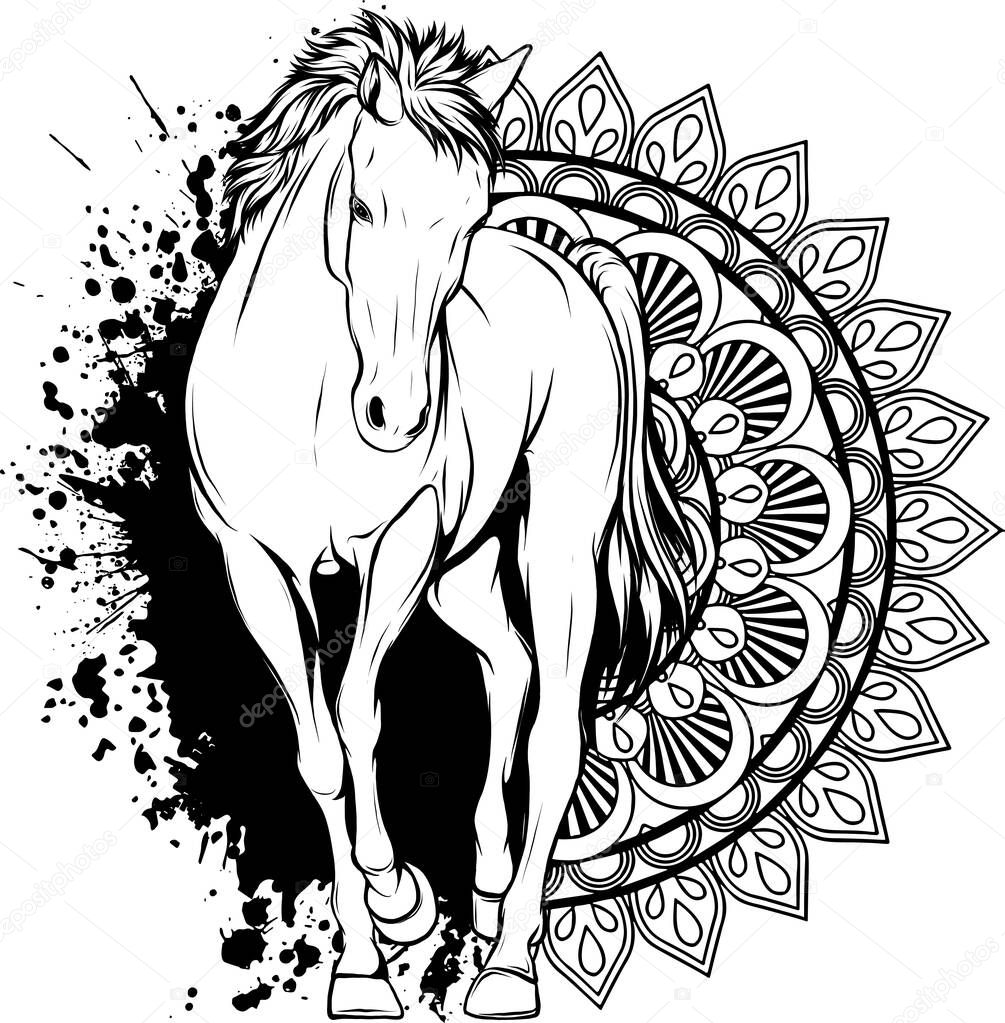 Illustration of horse in outline design