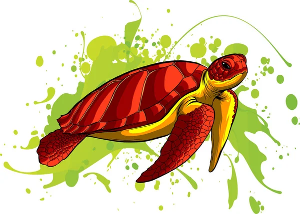 Zeeschildpad Gekleurde Tekening Van Een Zeeschildpad Een Witte Achtergrond — Stockvector