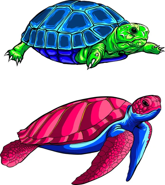 Illustrazione Vettoriale Tartaruga Carino Impostato Sfondo Bianco Mano Digitale Disegnare — Vettoriale Stock