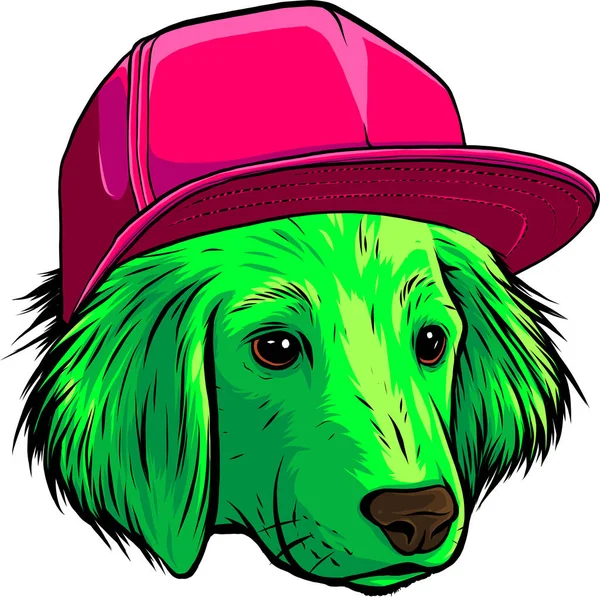 白い背景の上に帽子をかぶったかわいい漫画の犬のイラスト — ストックベクタ