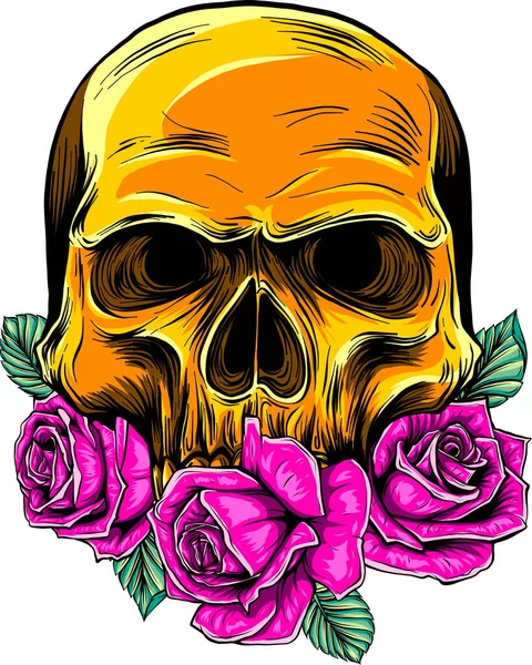 Cráneo Con Hermosas Rosas Estilo Vintage Ilustración Vectorial Aislada — Vector de stock