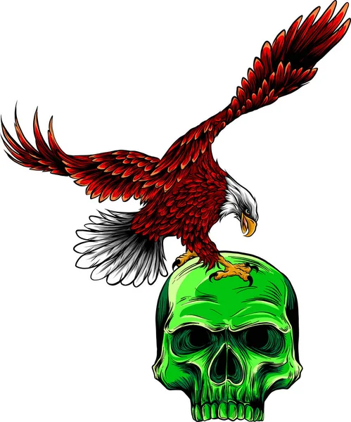 Vector Eagle Birds Flying Gripping Illustration — Stock Vector