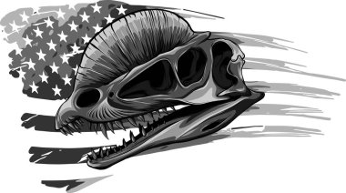 Dilophosaurus dinosaur skull fossil illustration