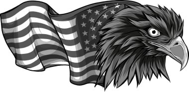 Amerikan bayraklı kartal kafası.