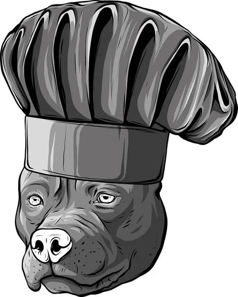 Pit Bull Terrier Dalam Topi Koki - Stok Vektor