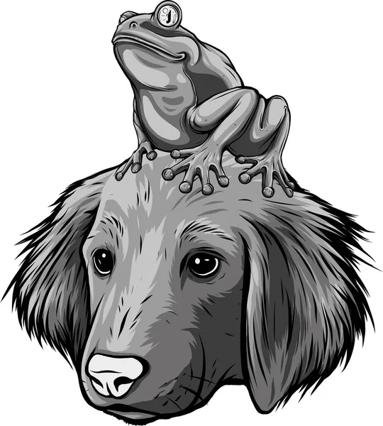 Illustration Frog Sitting Dog Head — Stock Vector