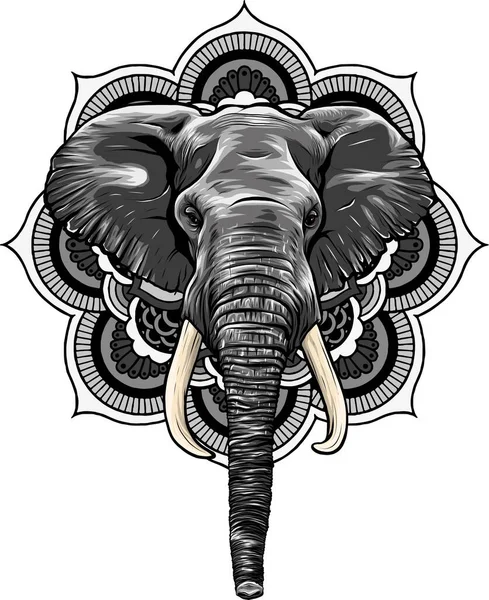 Ilustração Vetorial Elefante Africano Cabeça —  Vetores de Stock