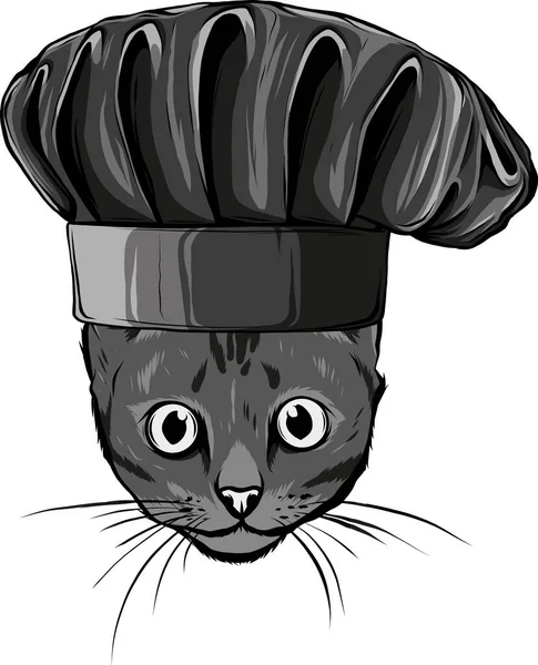 Ilustração Cabeça Gato Com Chapéu Chef — Vetor de Stock