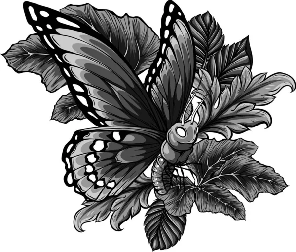 Vektorillustration Von Blättern Und Schmetterling — Stockvektor