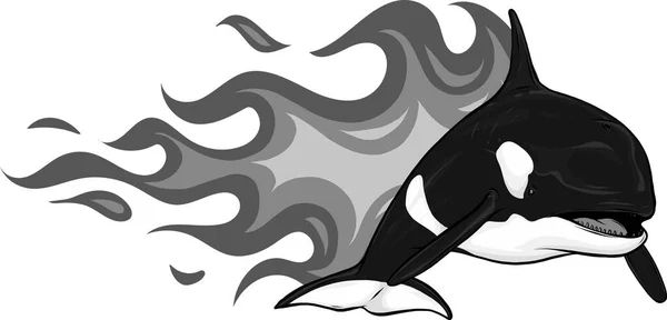 Illustration Killer Whale Flames — Stock Vector