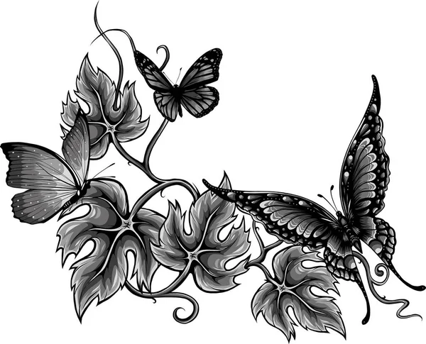 Ilustrace Motýlů Květin Izolovaných Bílém — Stockový vektor