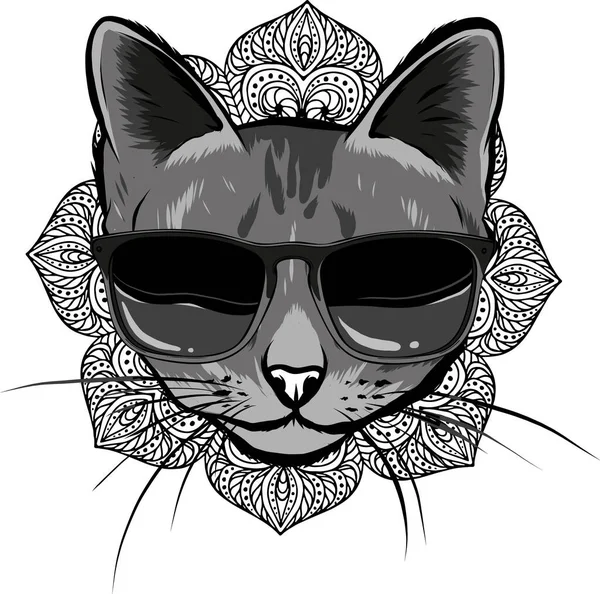 Illustration Cat Sunglasses White Background — Stock Vector